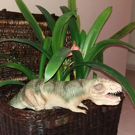 Bed and breakfast Dinosousa *