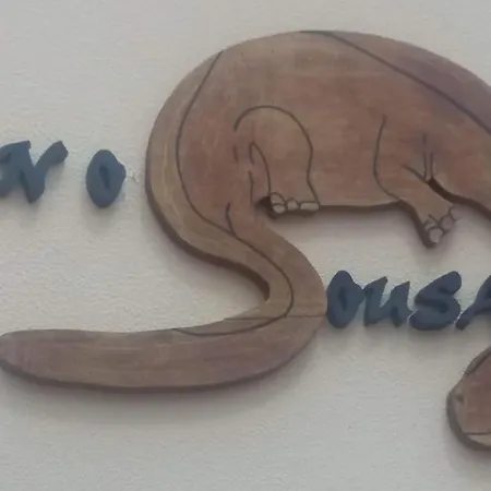 Bed and breakfast Dinosousa *